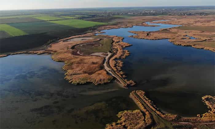 Мать-природа восстанавливается удивительно быстро: возрождение богатых водно-болотных угодий Украины